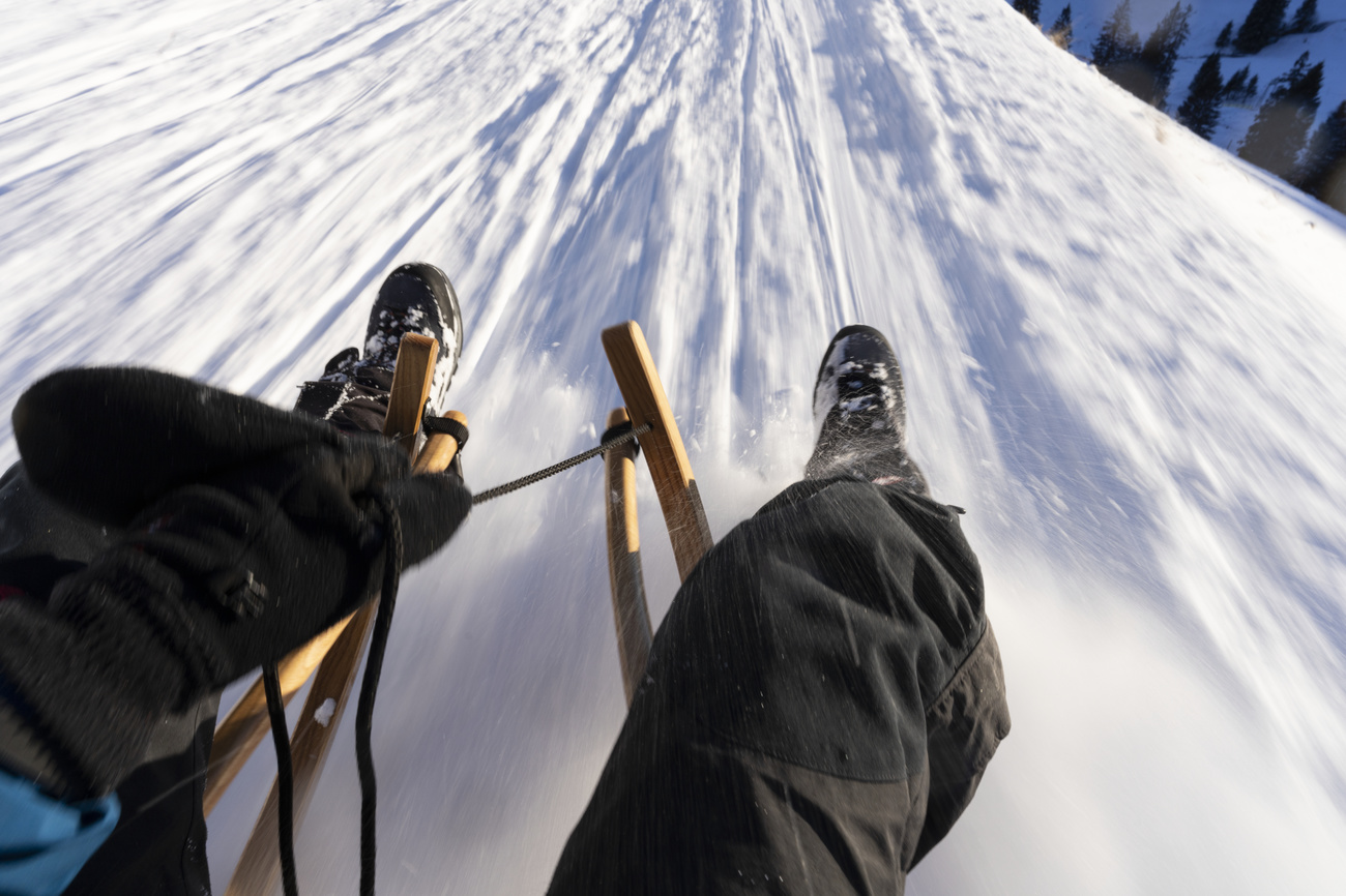 persona in slittino sulla neve