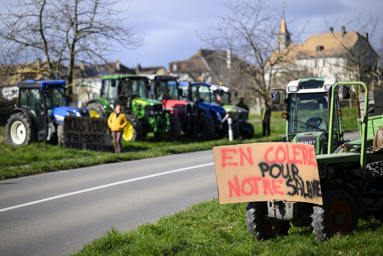 Сотни фермеров провели в нескольких регионах западной и немецкоязычной Швейцарии акции протеста в пользу улучшения условий труда.