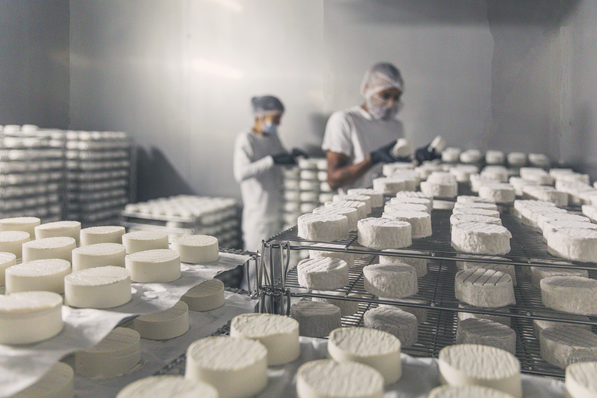 cheesemakers