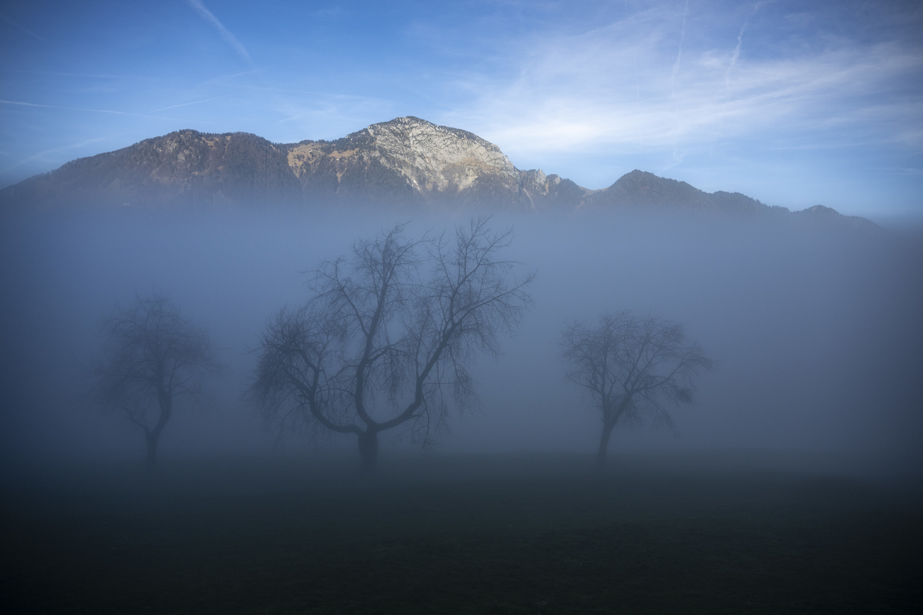 Mountain fog
