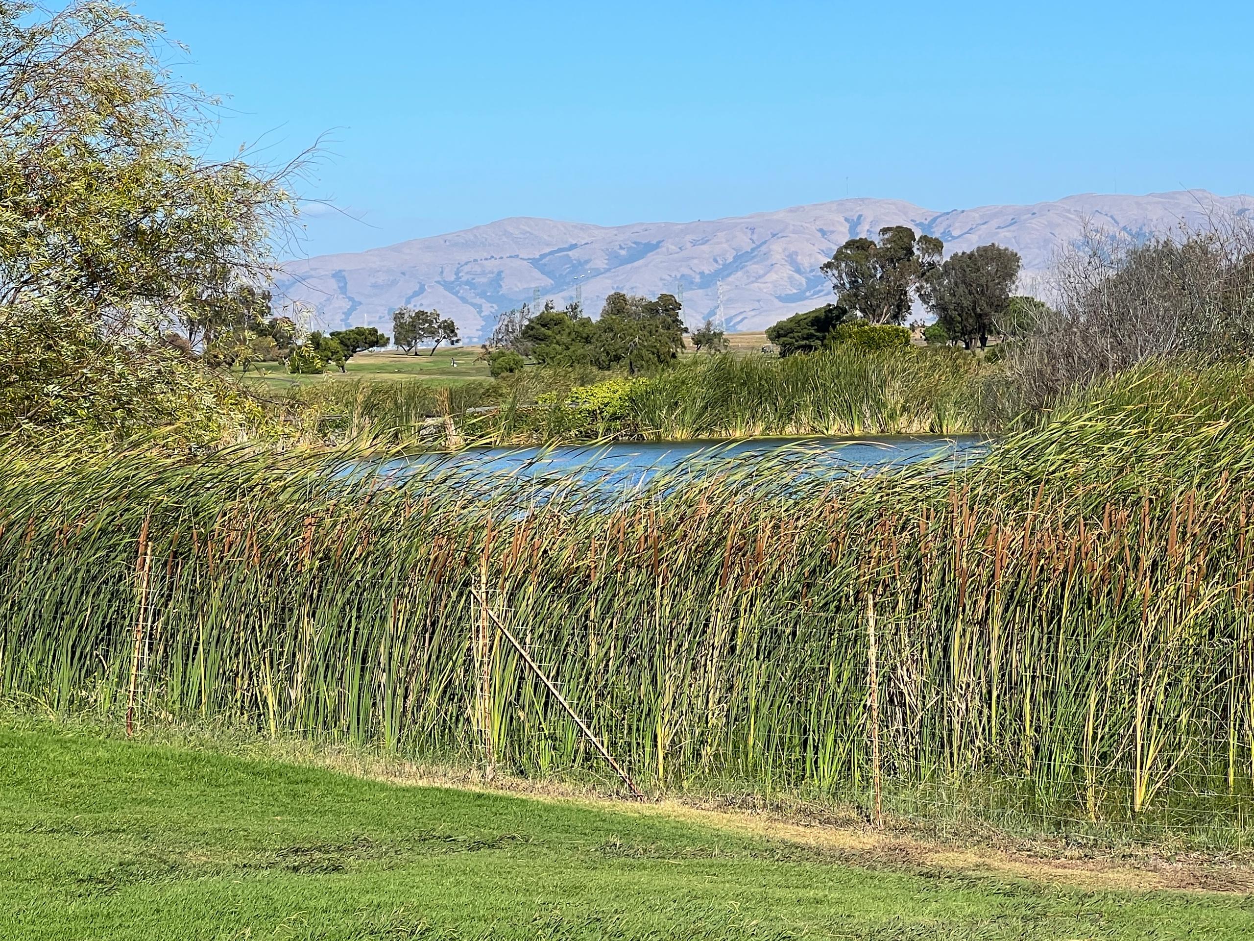 Natur im Silicon Valley