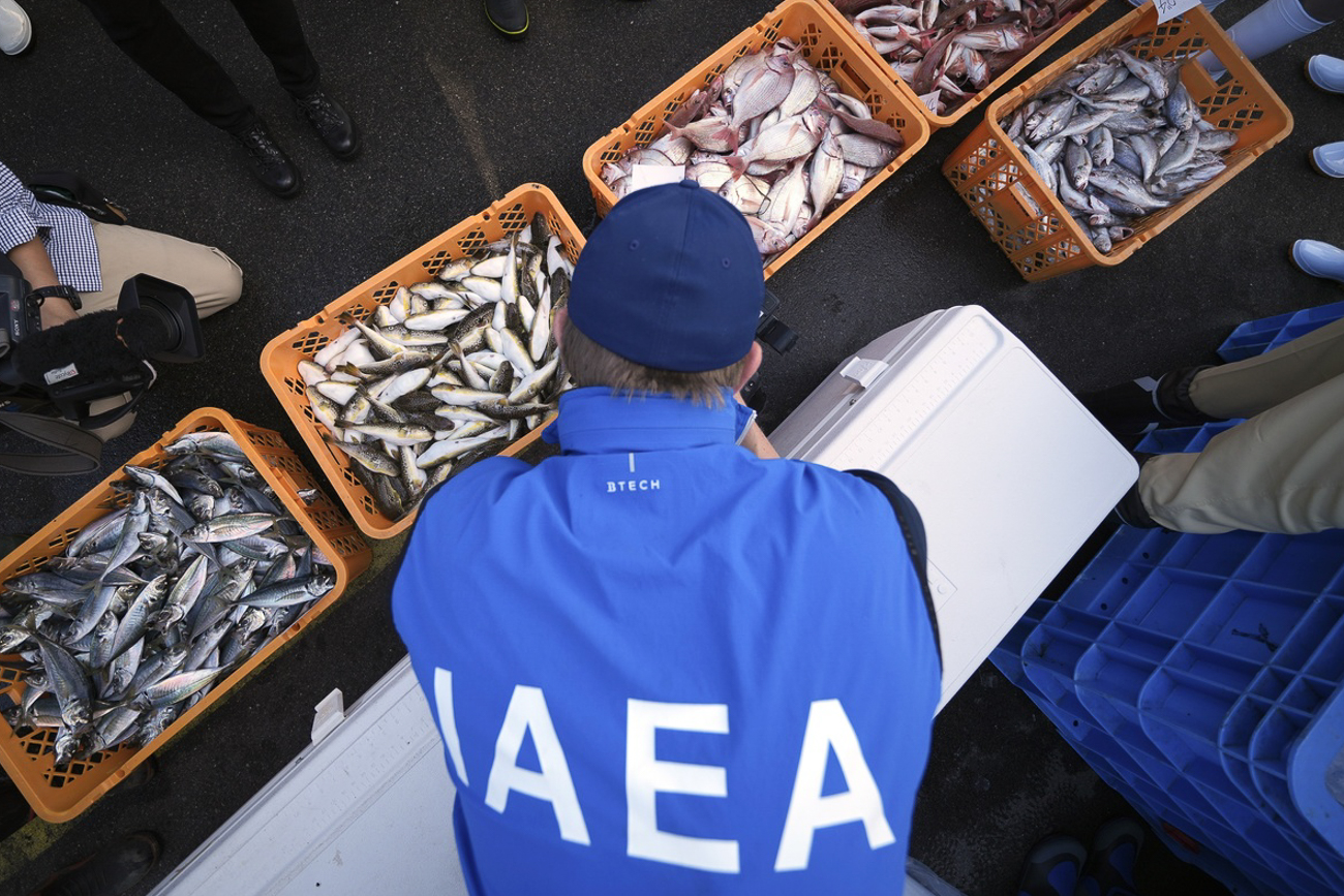 Ein IAEA-Mitarbeiter kauert vor Körben voller Fische, er wird von der Presse gefilmt