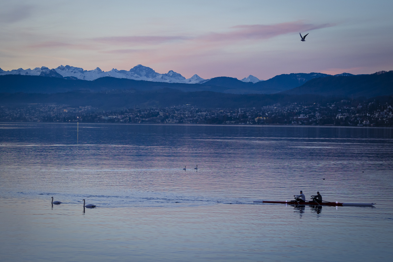 A rower on Lake Zurich