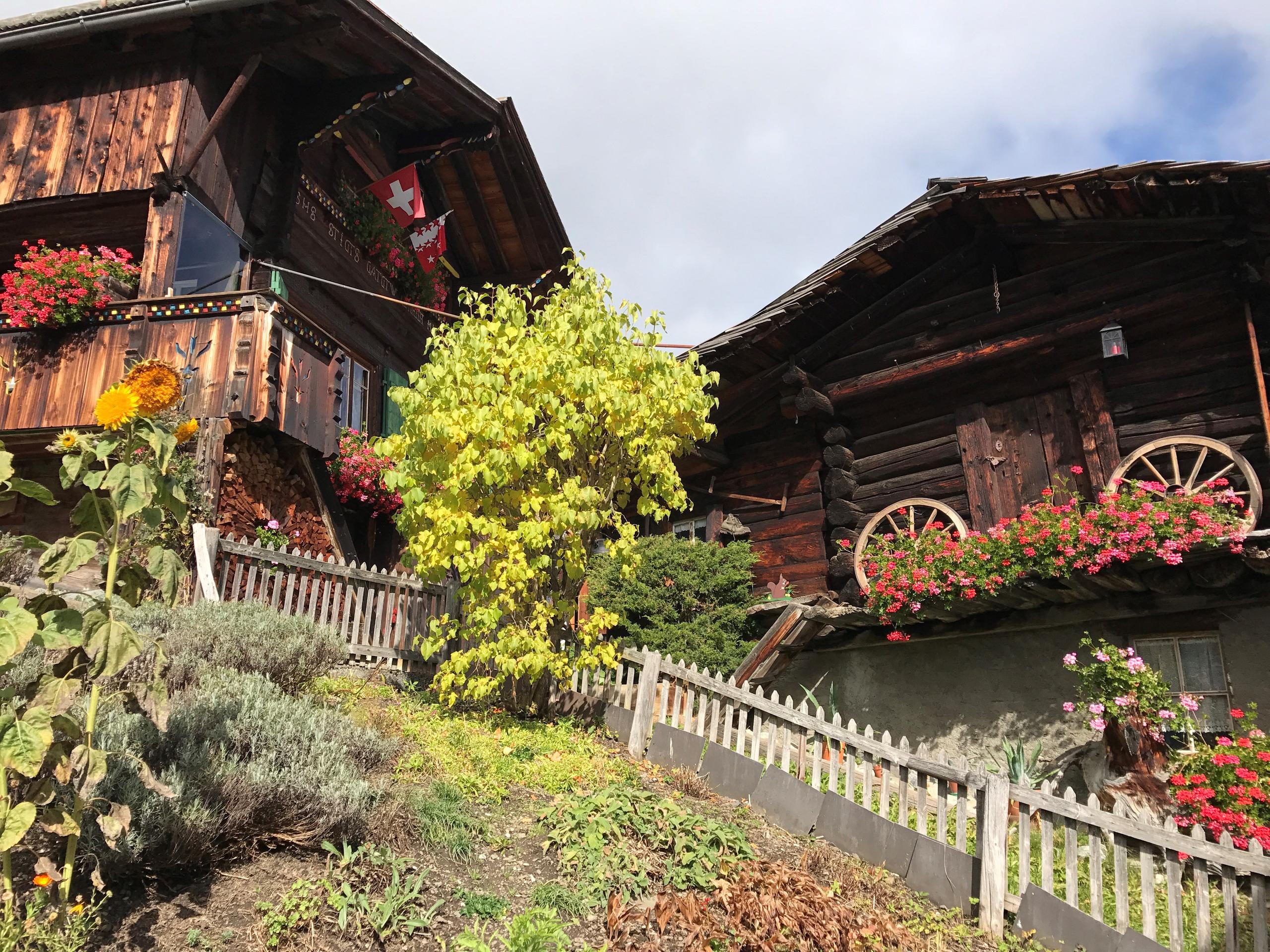Zwei traditionelle Schweizer Holzhäuser