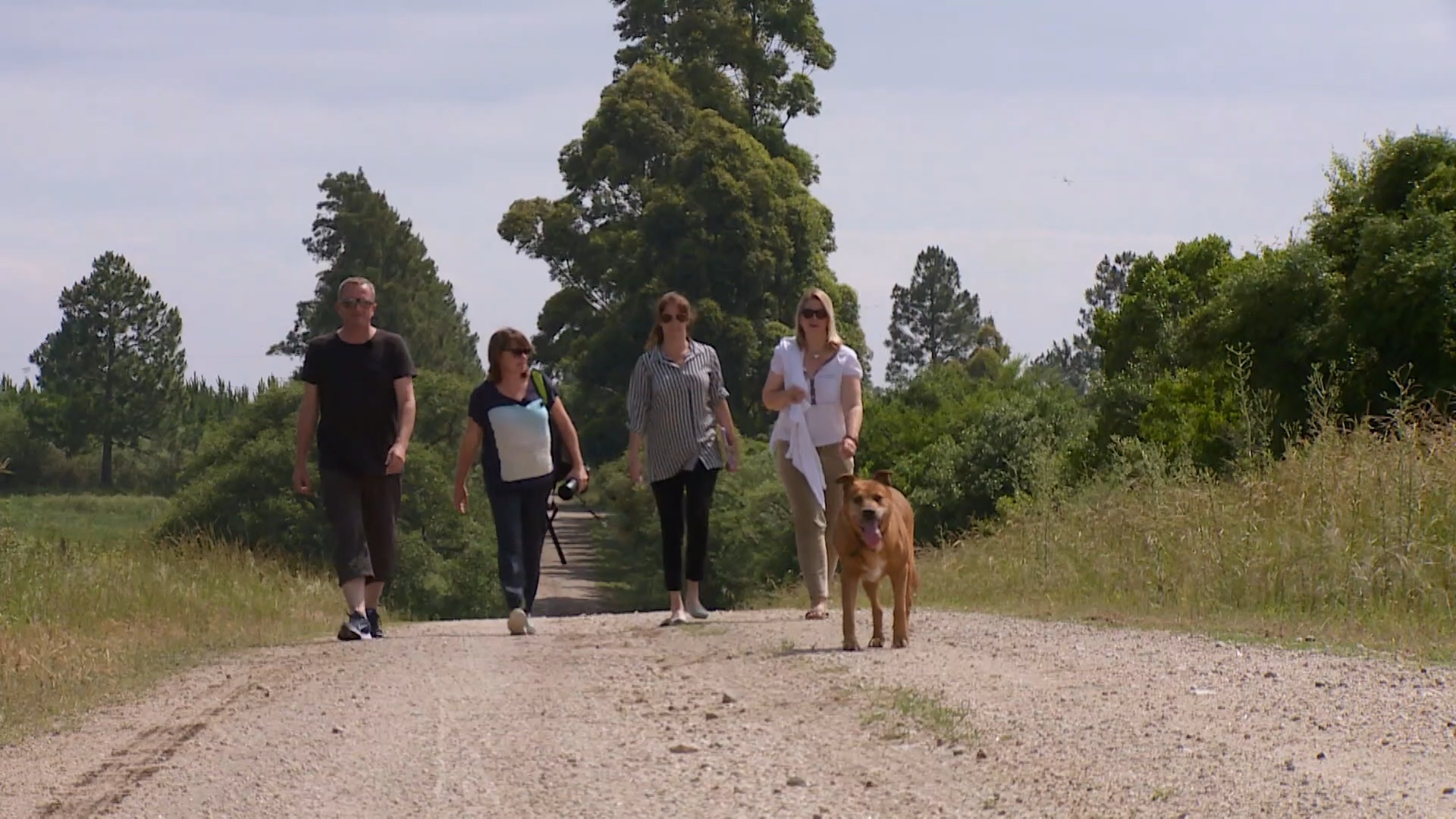 Familie mit Hund, die im Grünen auf einer Naturstrasse spazieren