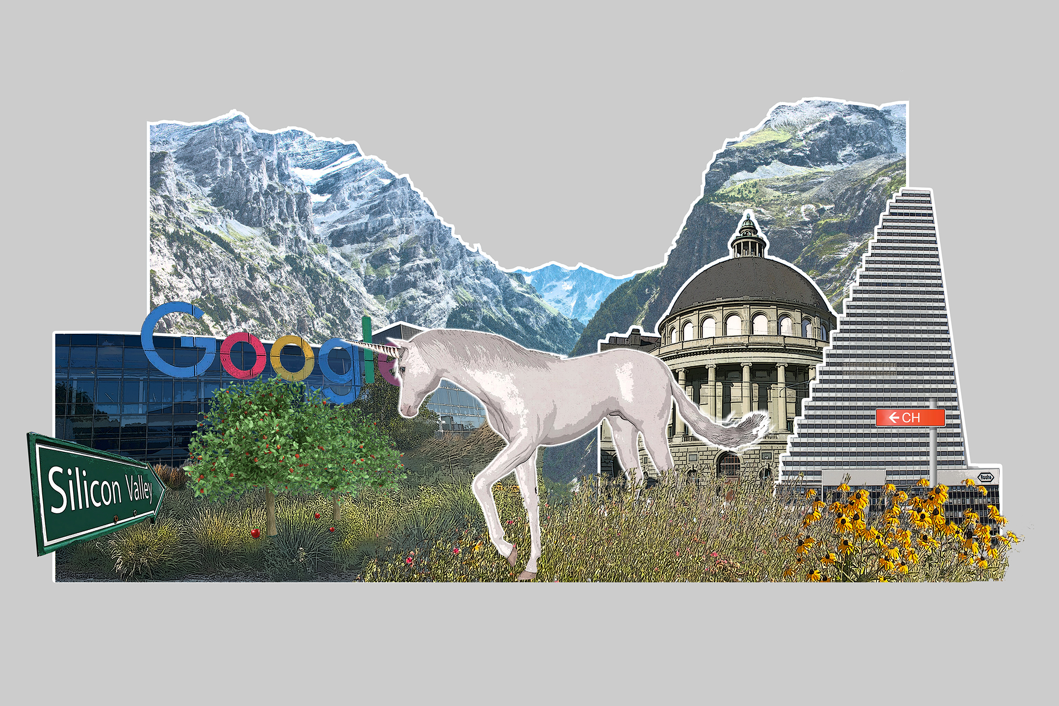 Illustrazione confronto start up unicorno in Svizzera e Silicon Valley