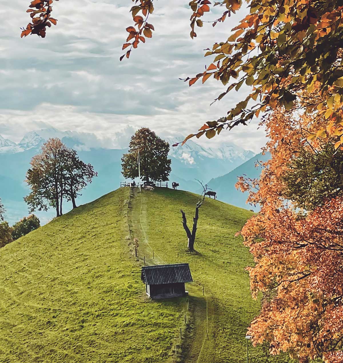 Vesuv in Heiligenschwendi.Foto: Tina Bollmann, mit Dank an Tourismus Heiligenschwendi