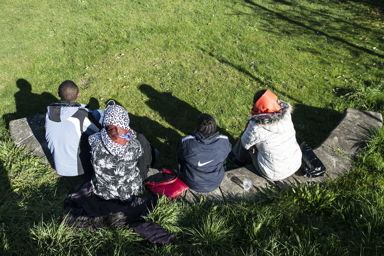 quattro persone sedute in un parco