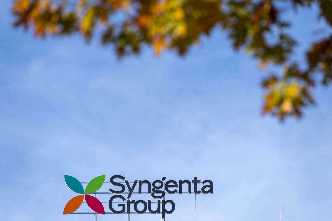 the Syngenta group logo made up of a blue green red and orage leafe like in four parts in front of a blue sky. At the top there are some leaves and branches framing the image.