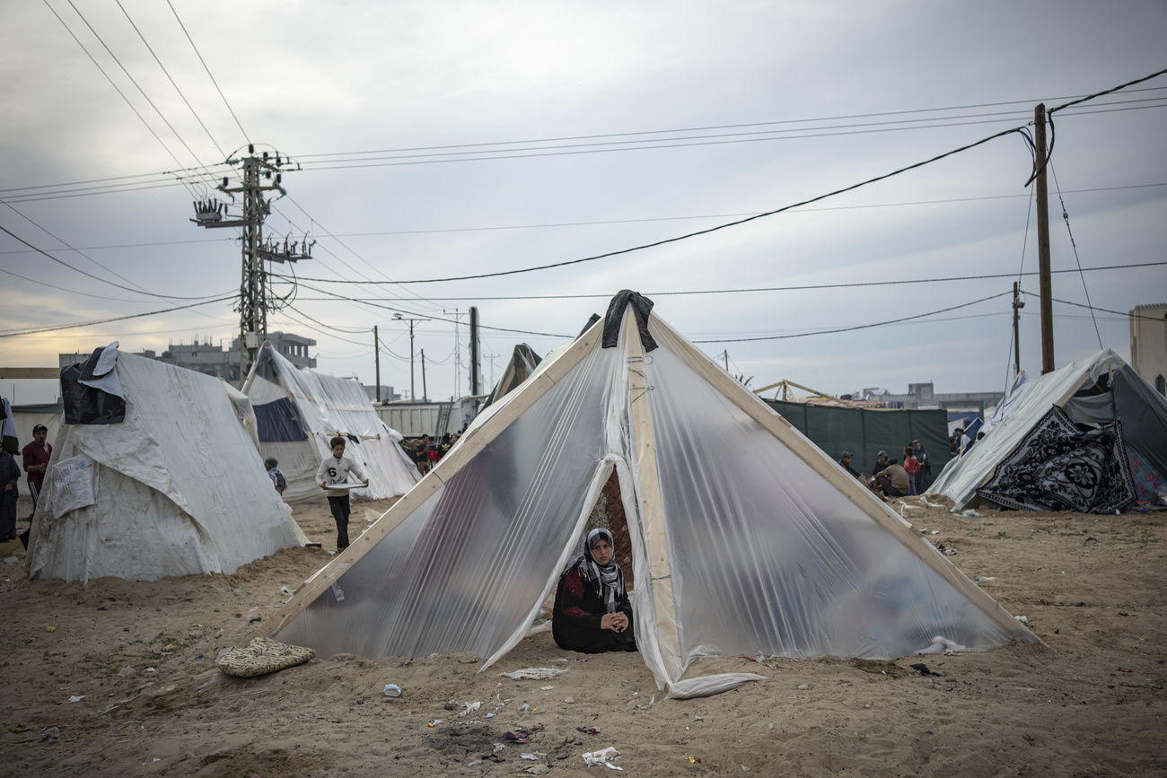 Palestiniens déplacés
