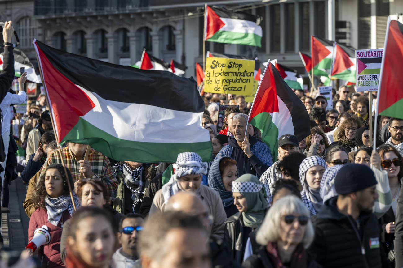 pro palestinian rally
