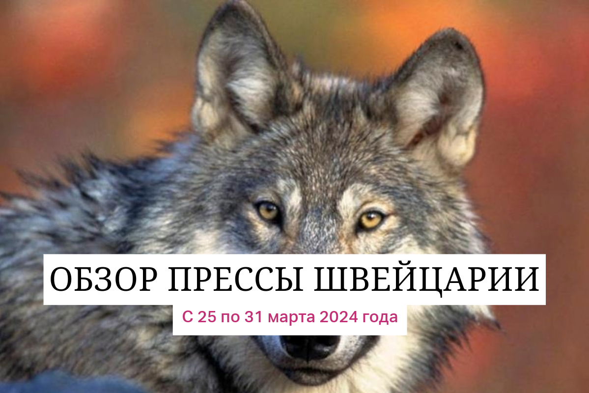 Обзор прессы