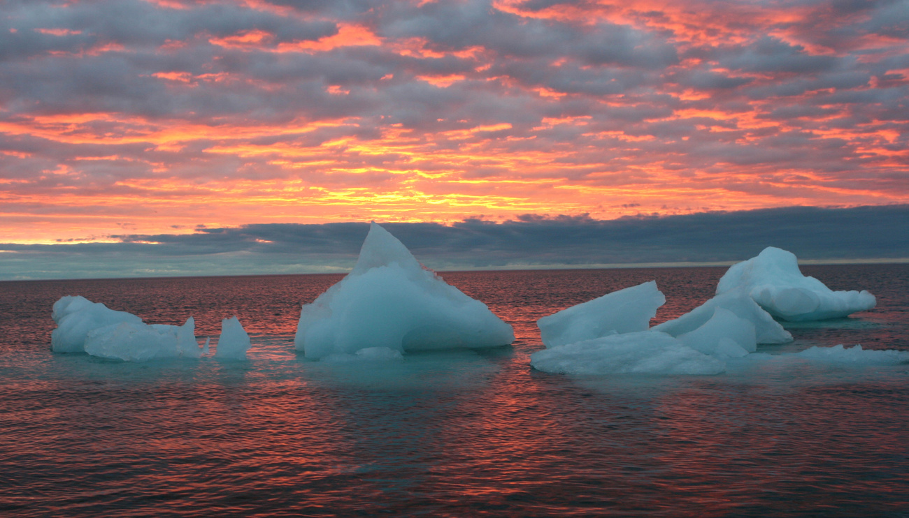 Frammenti di ghiaccio galleggiano sul Mare Artico.