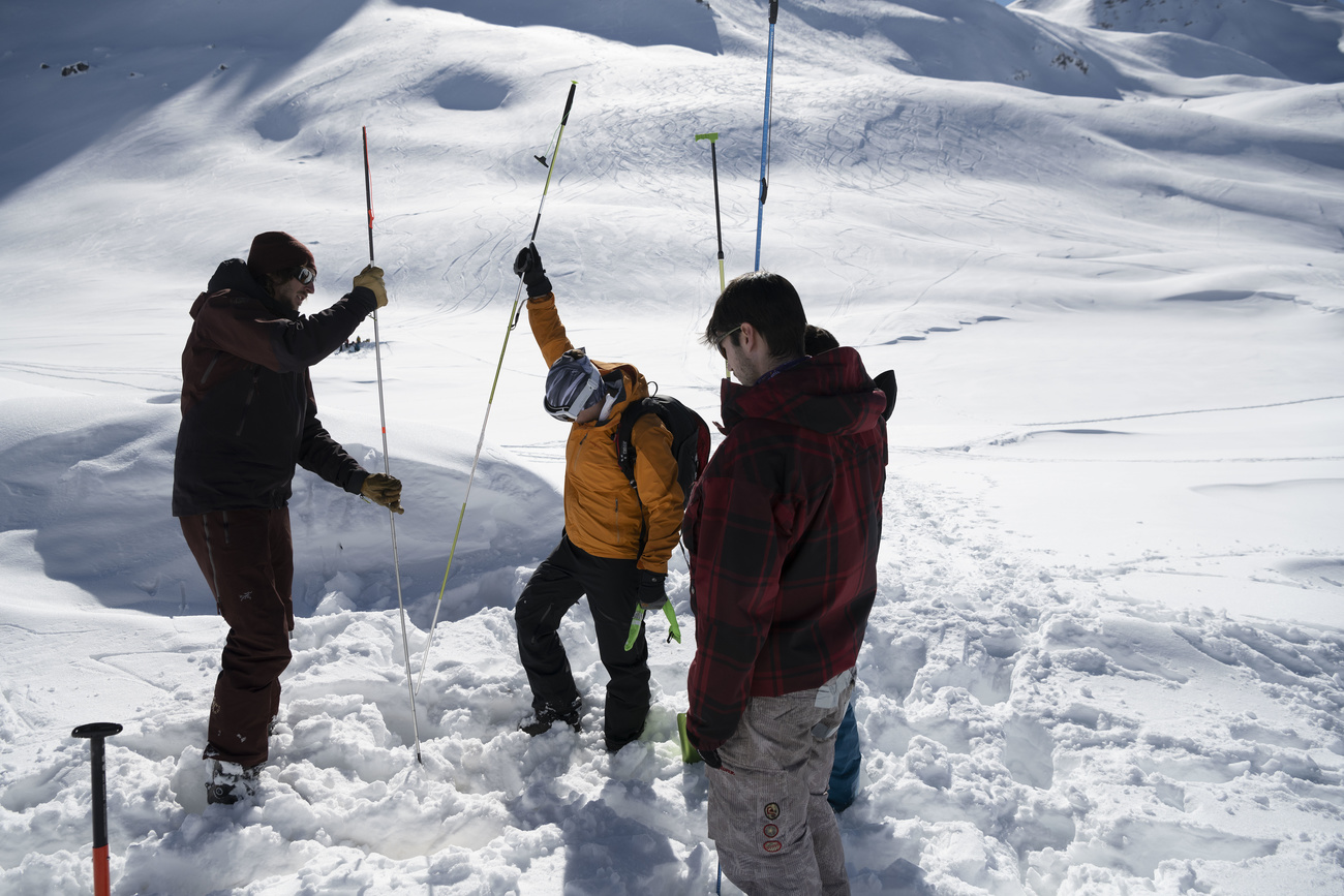 persone intente a cercare vittime nella neve con lunghi bastoni