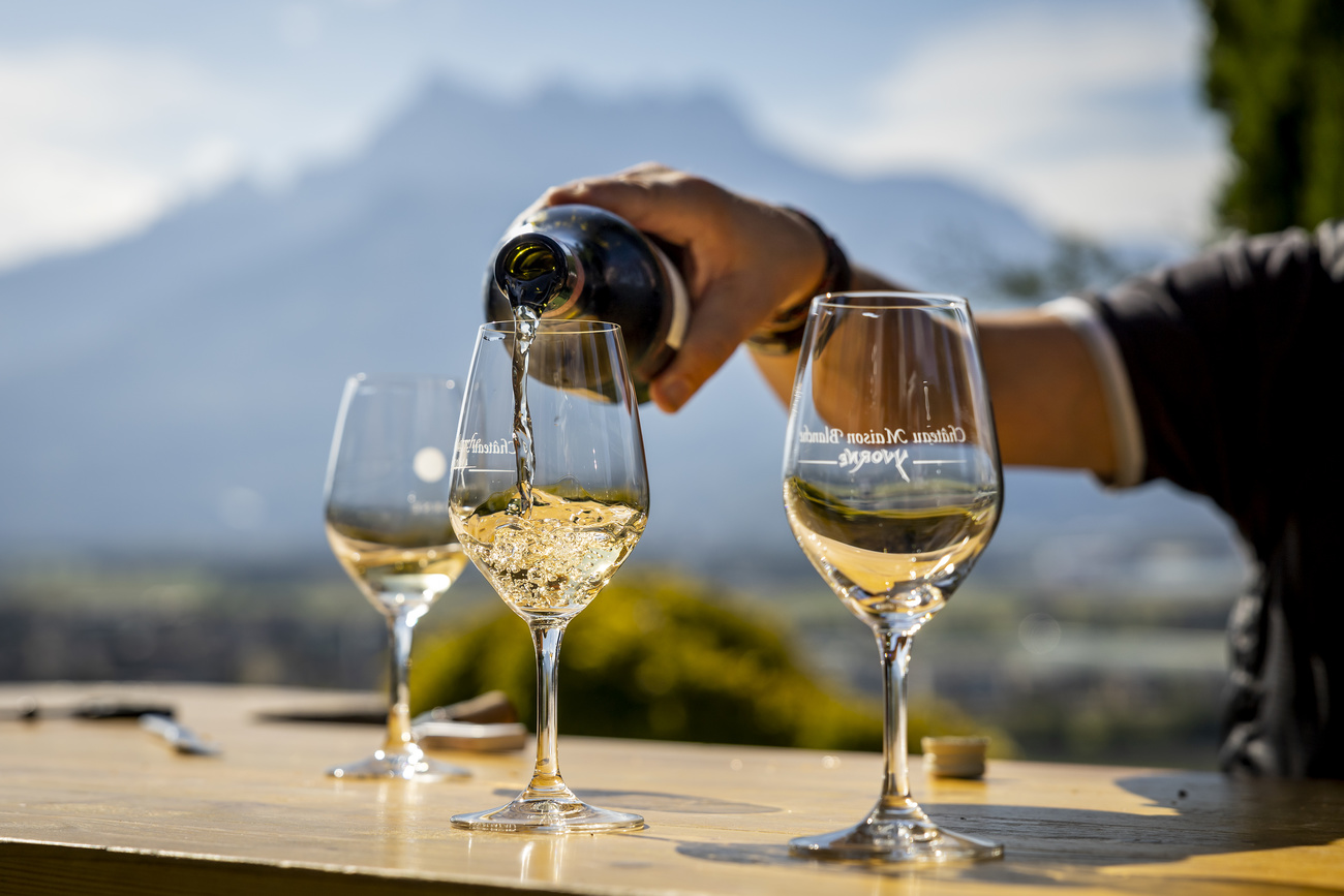 A hand pours white wine from a bottle into one of three glasses on a wooden table. In the distant background a mountain is visible.
