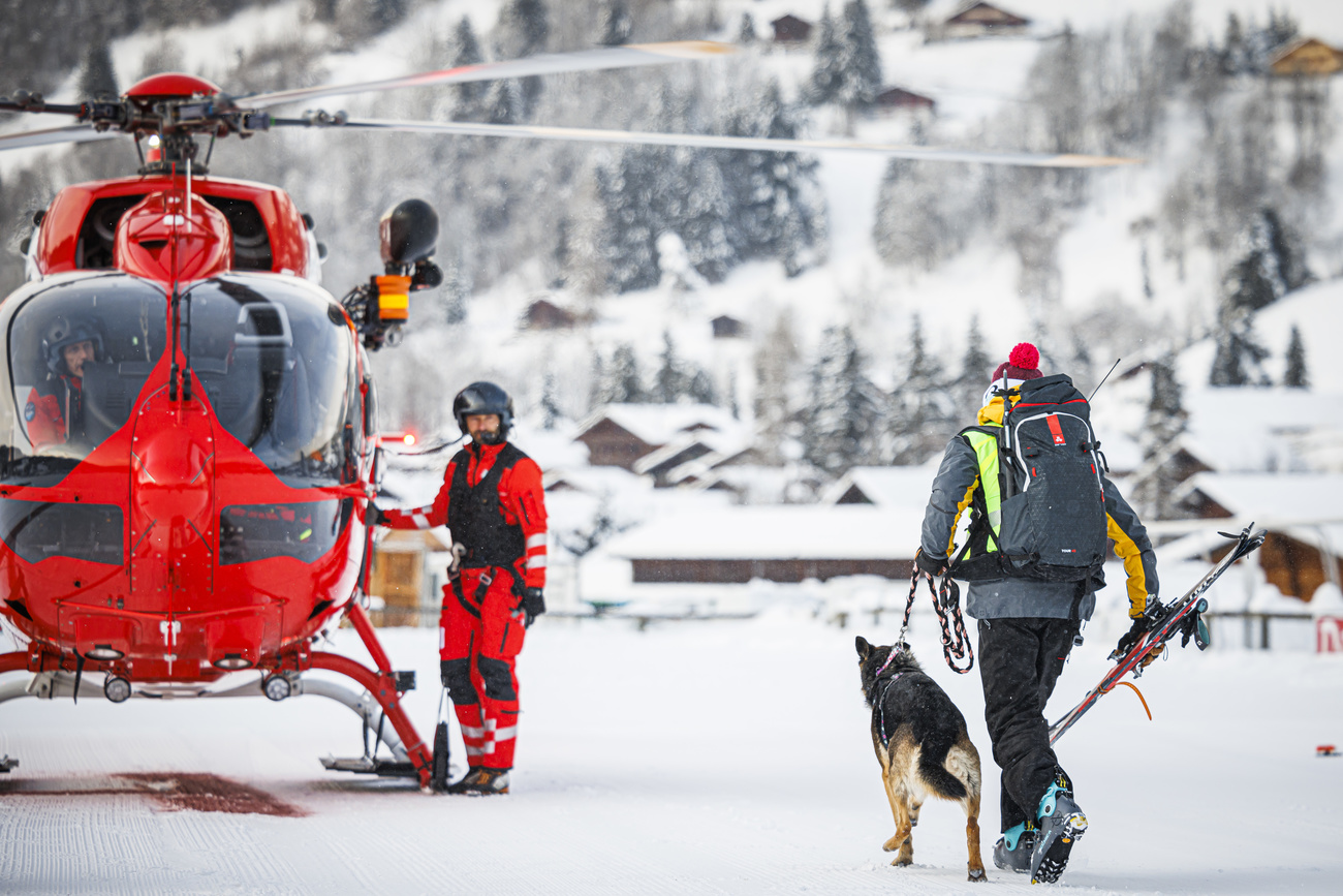 Un cane da valanga e un soccorritore si dirigono verso un elicottero della REGA.