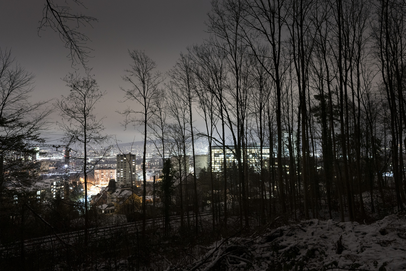 Wald in der Nacht vor erleuchteter Stadt Zürich