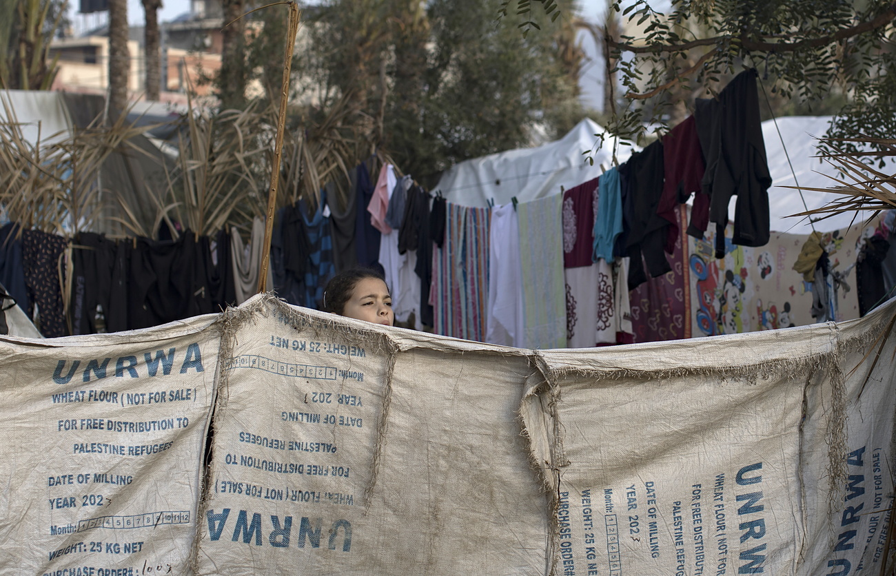 A young girl peers over a line of white UNRWA sacks of flour that have been repurposed as ‘fences’ at a Gaza Strip camp. Behind her are trees and washing lines of clothing.