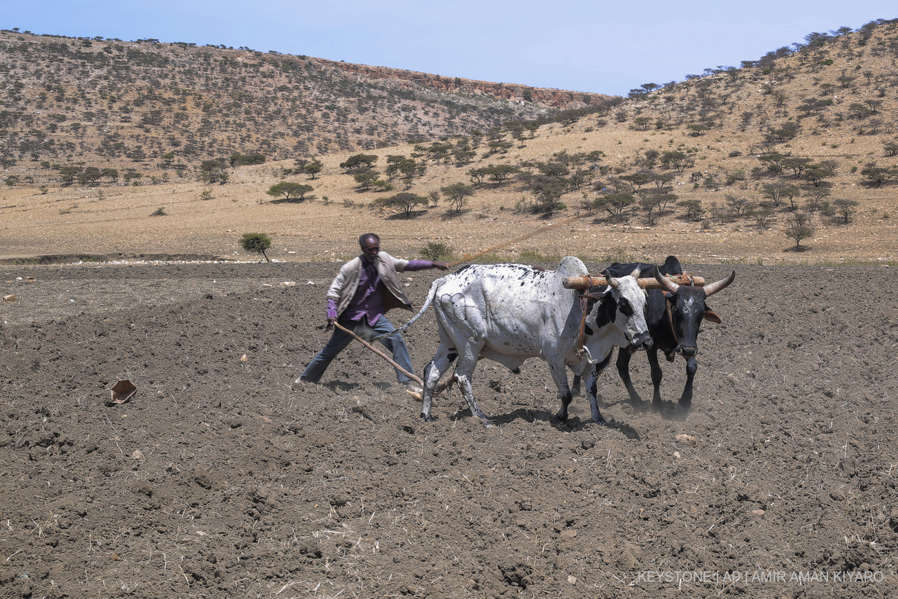 UN needs millions for aid in Ethiopia 