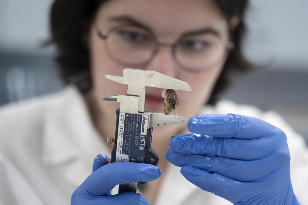 A researcher at the Swiss Federal Institute of Aquatic Science and Technology (Eawag) in Dübendorf.