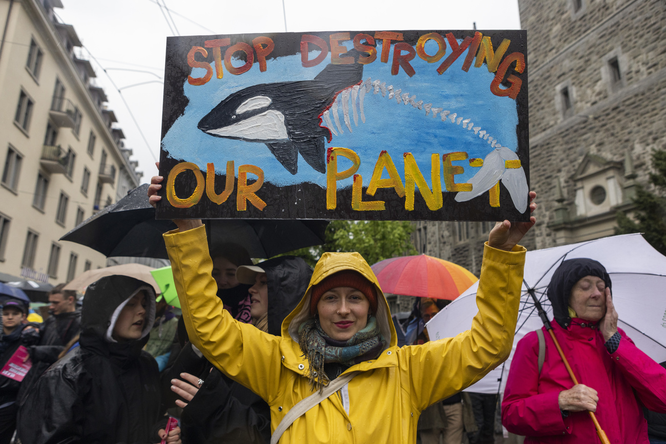 ragazza con impermeabile giallo tiene cartello con disegno di balena e scritta STOP DESTROYING OUR PLANET