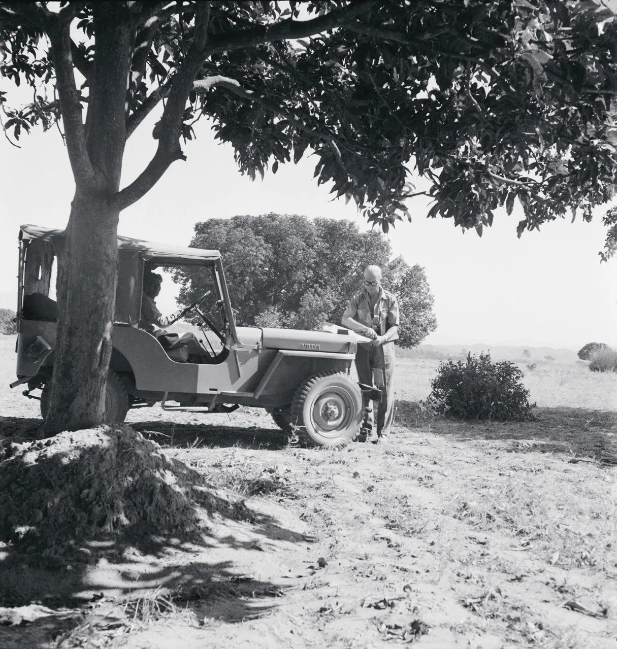 勒·柯布西耶倚靠在吉普車的引擎蓋上查看地圖，這輛吉普車專門用於探索昌迪加爾地區。