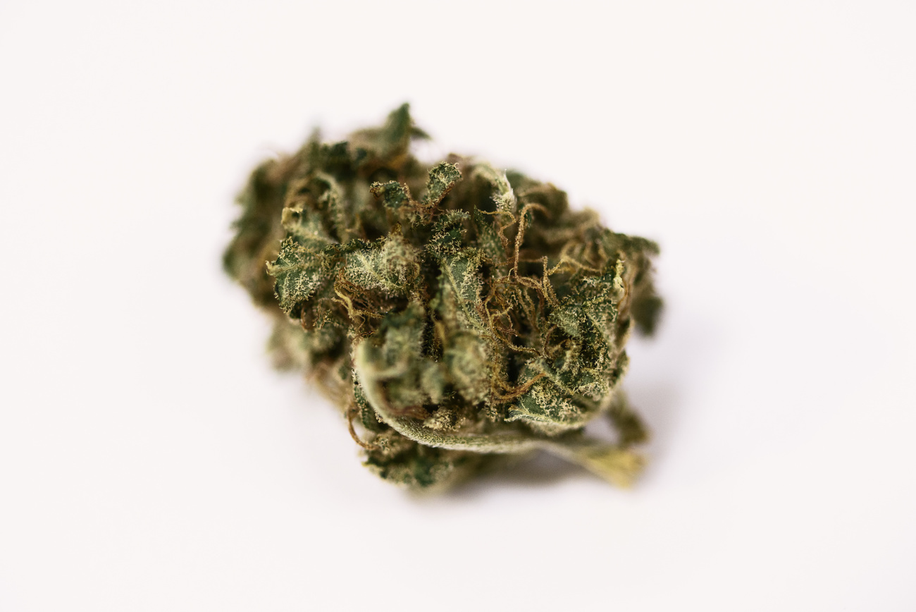Hemp