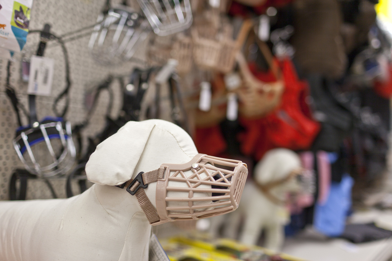 A taupe coloured stuffed dog shape in the foreground is fitted with a beige plastic muzzle in a pet shop. In the background can be seen various muzzles, including metal ones.