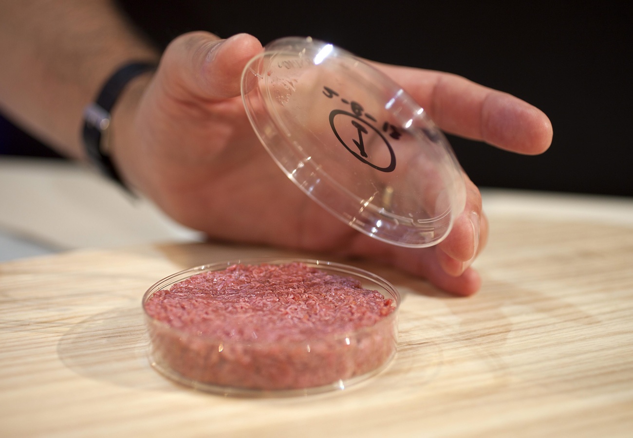 A cultured beef burger is shown in raw form, in a plastic container.