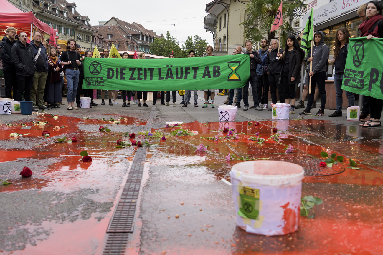 Militanti di Extinction Rebellion versano una sostanza colorata sulla strada.