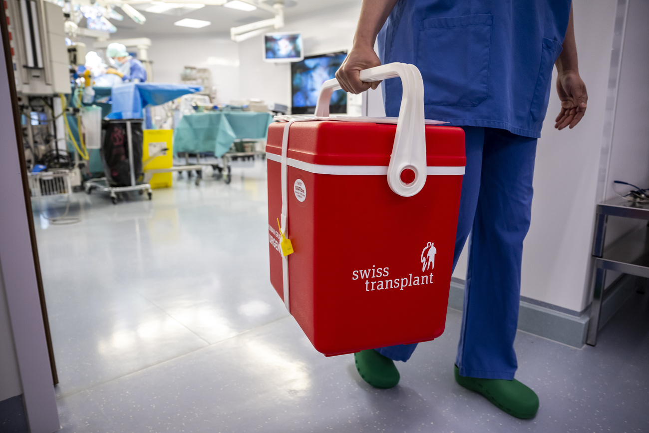 infermiera trasporta ghiacciaia con organi umani