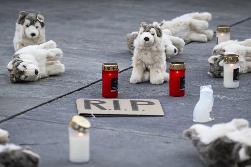 聯邦的預防性射殺政策引起爭議,1月31日伯恩的抗議行動。