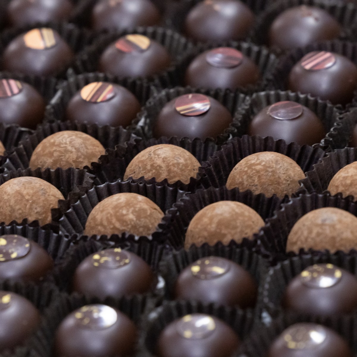 未来的巧克力中可可含量会减少甚至消失 - SWI swissinfo.ch