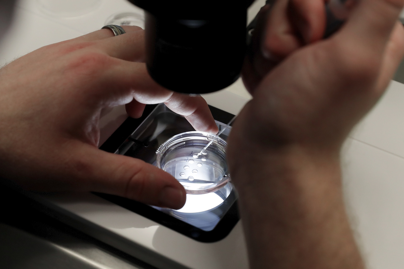 fecondazione in vitro