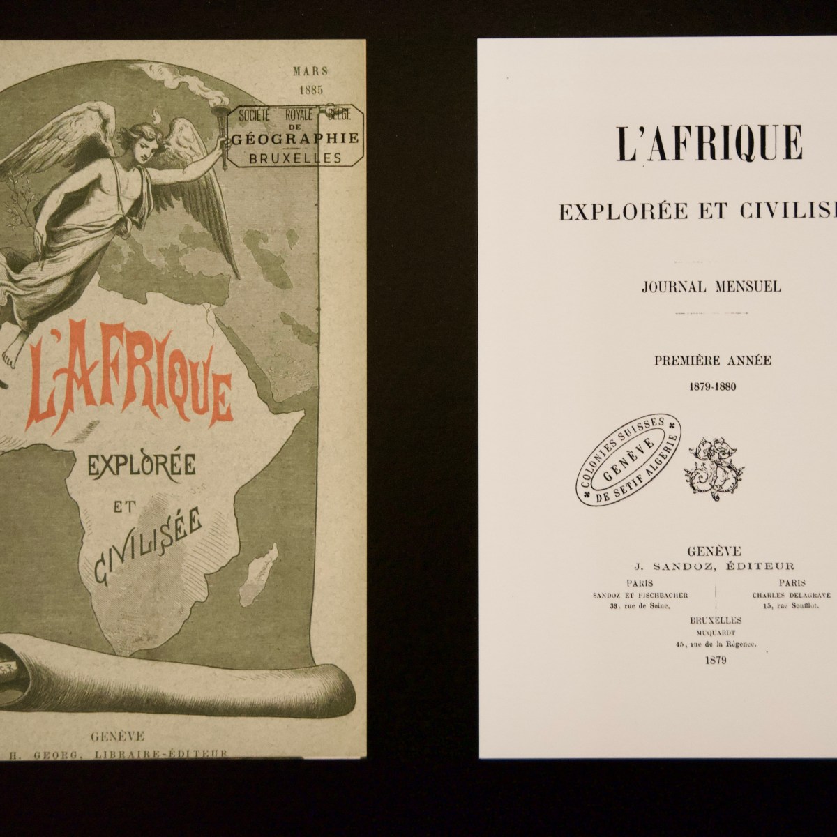 DSC_0770.jpeg?resize=1200,1200