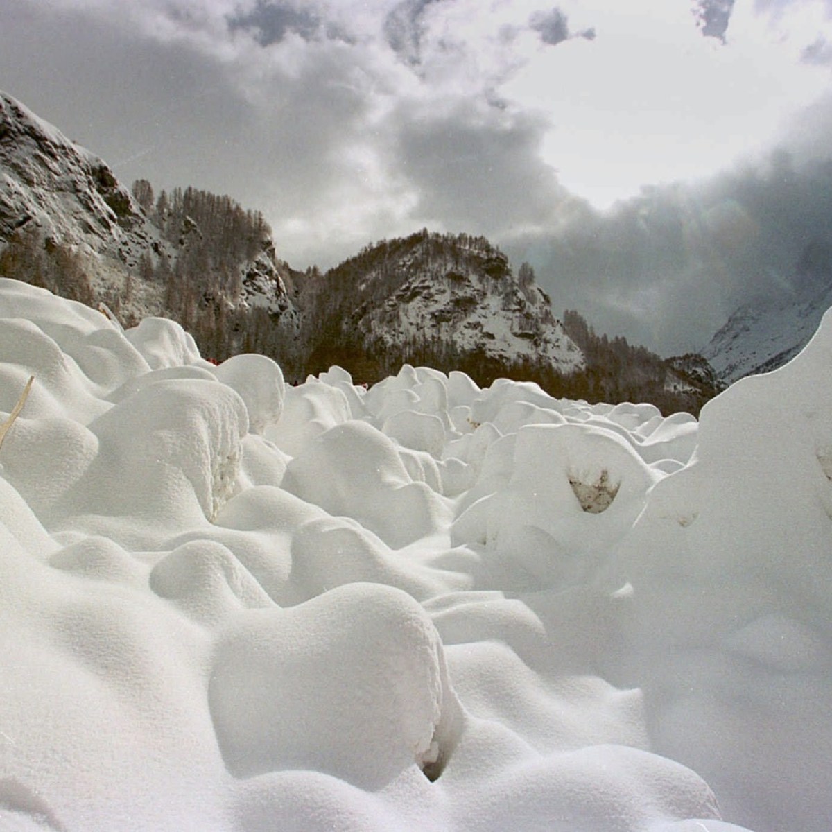 Swiss avalanche deaths slightly higher than average - SWI swissinfo.ch