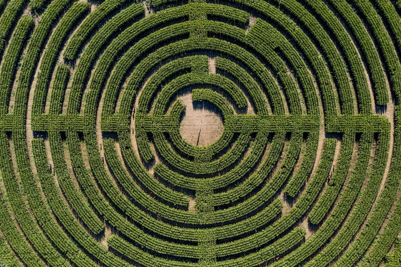 Ein Labyrinth-Garten