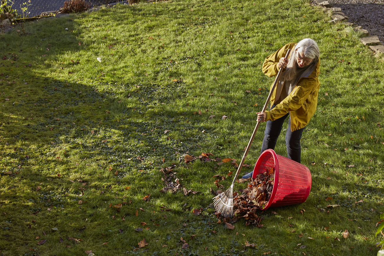 donna raccoglie foglie sec che in giardino