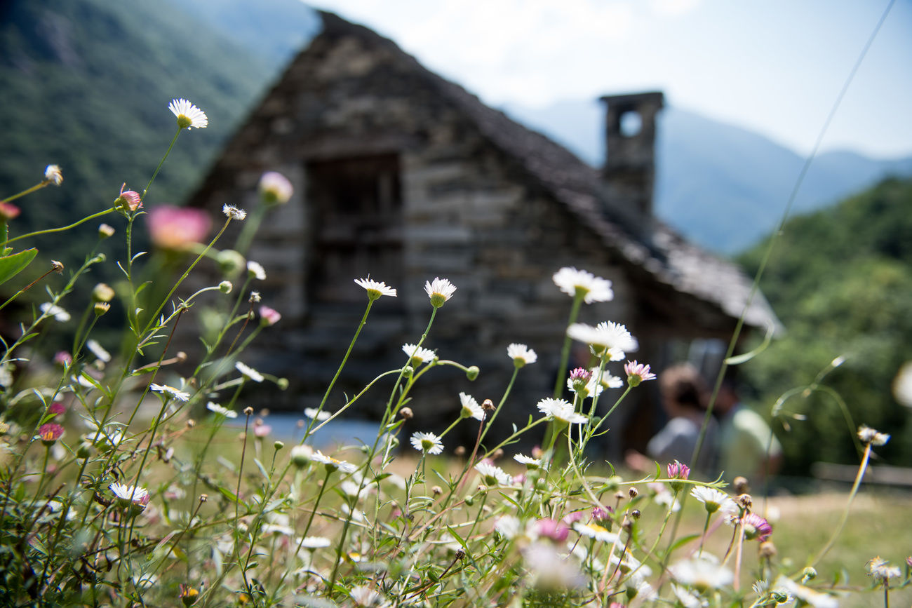 Corippo was once the smallest village in Switzerland. Its secluded location has helped preserve its rural charm.