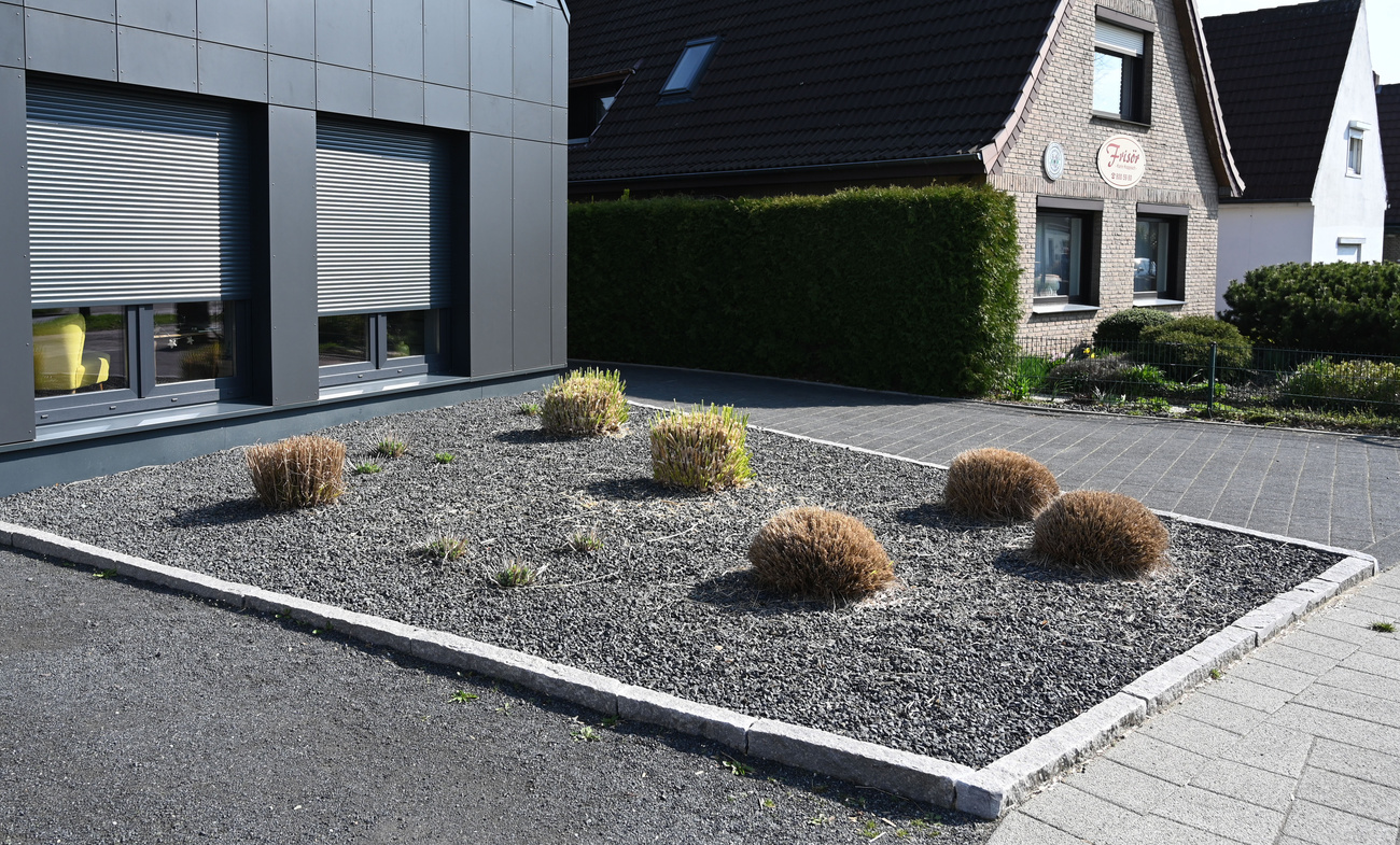steingarten