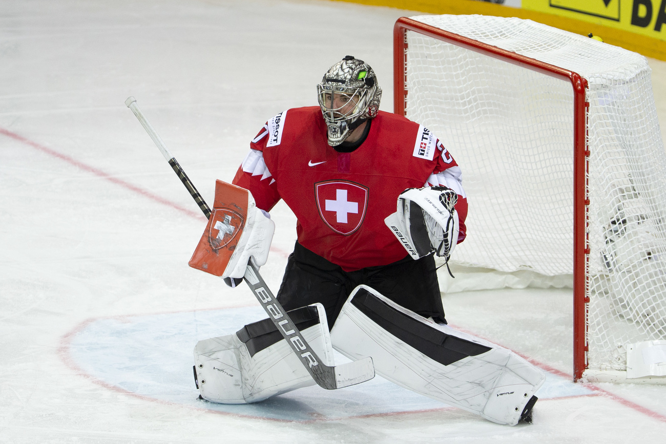 Ice hockey goalie