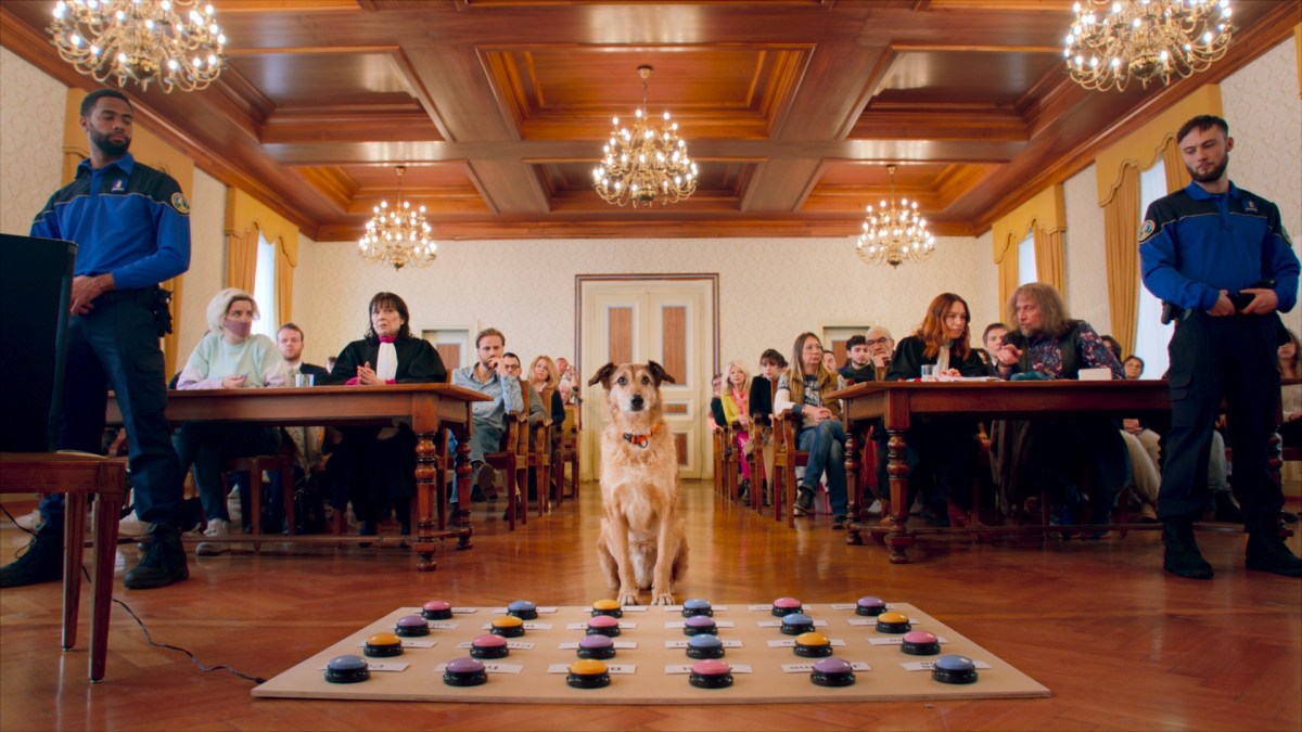 Animal rights in court: Swiss-French film wins first Palm Dog Award at ...