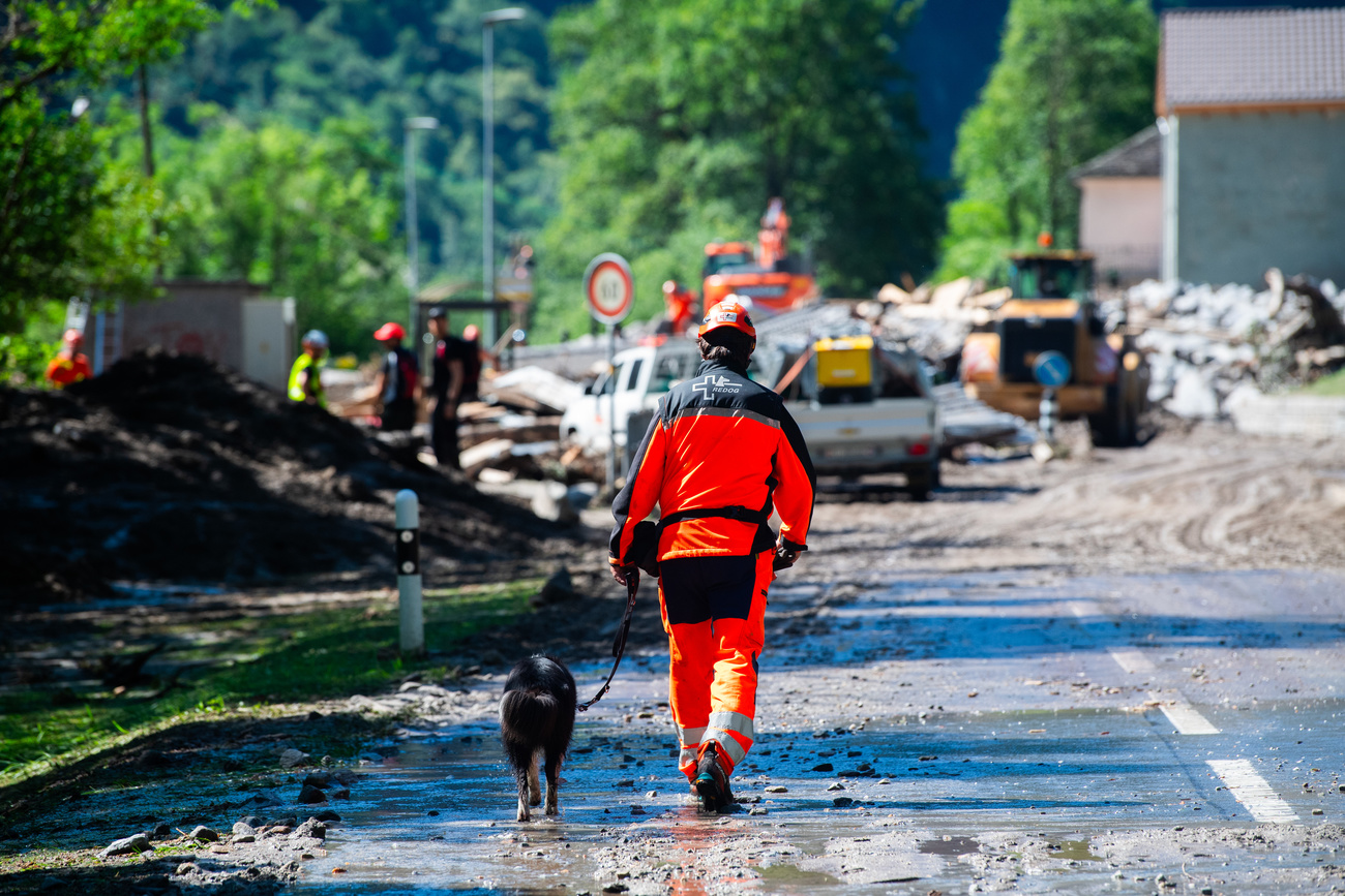 A rescue worker walks with a dog along a flooded street with wreckage in the background