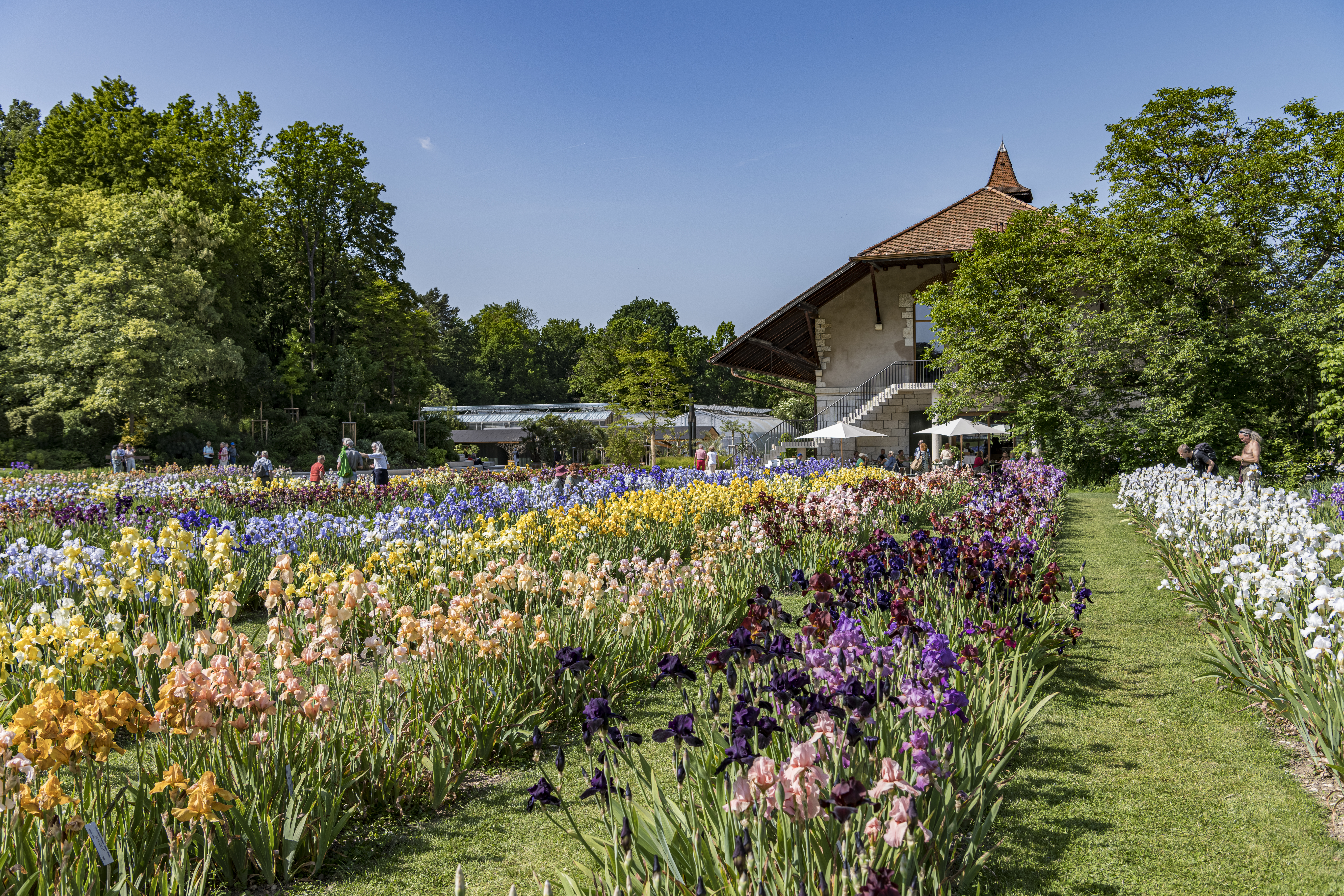I giardini Merian, Basilea