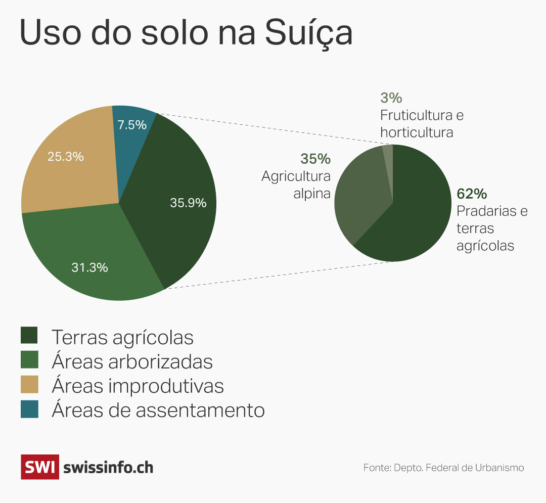 gráfico