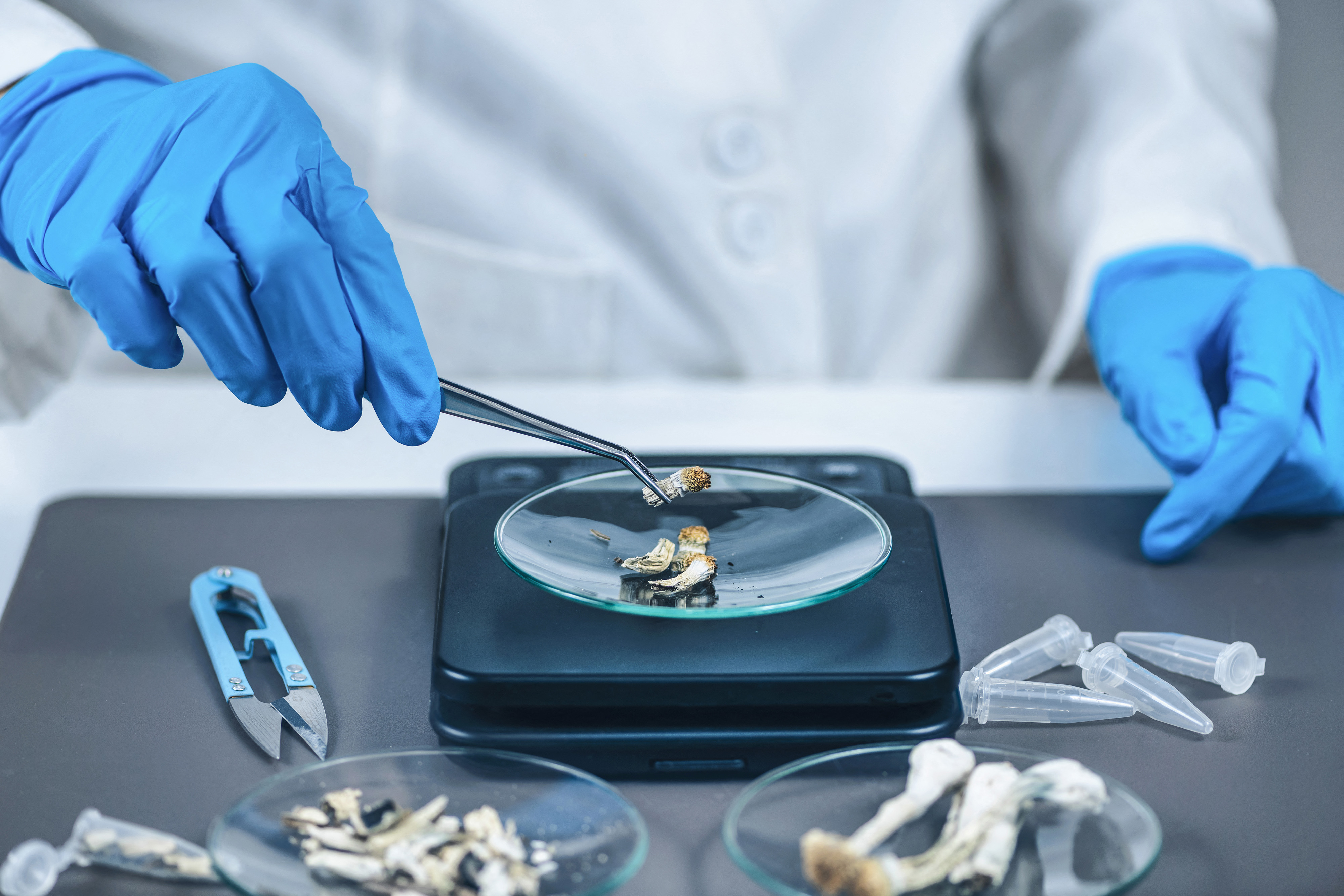 A doctor weighing mushrooms for therapeutic use