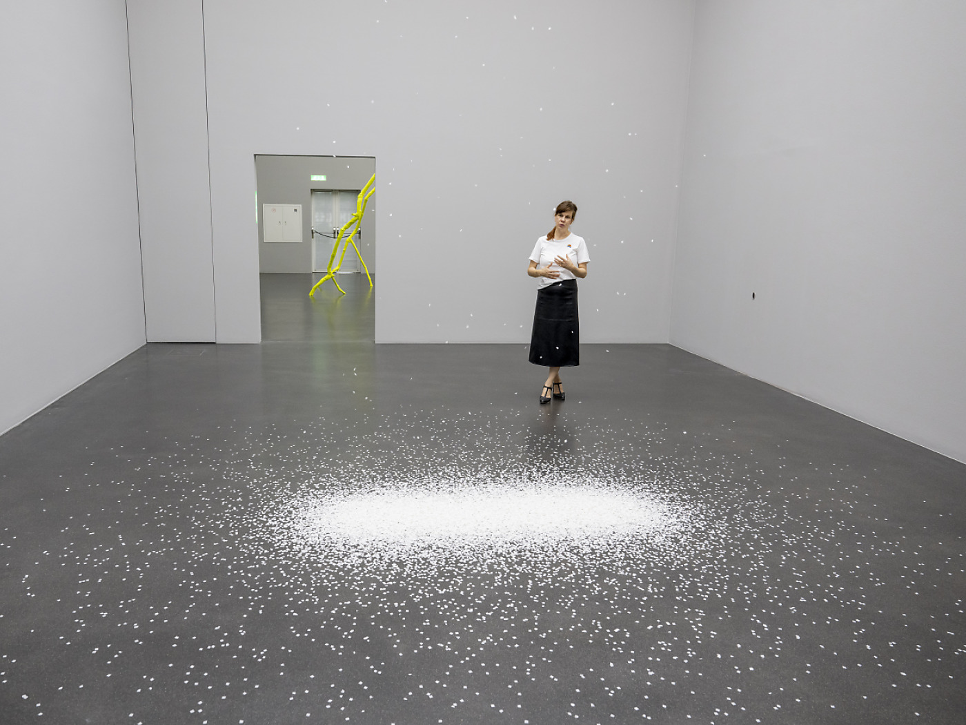 Ugo Rondinone zeigt im Kunstmuseum Luzern Natur-Installationen - SWI ...