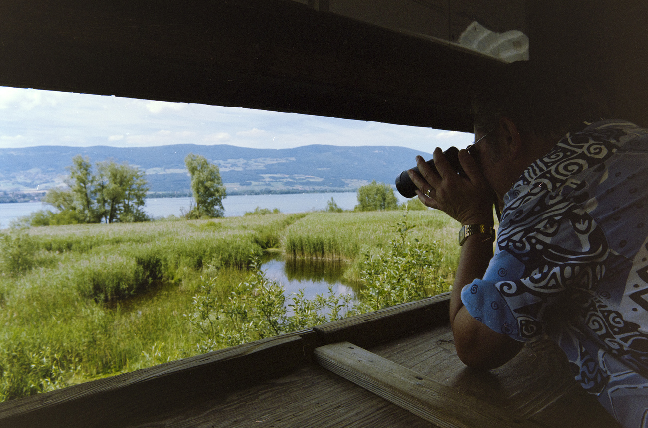 Naturlandschaft mit See