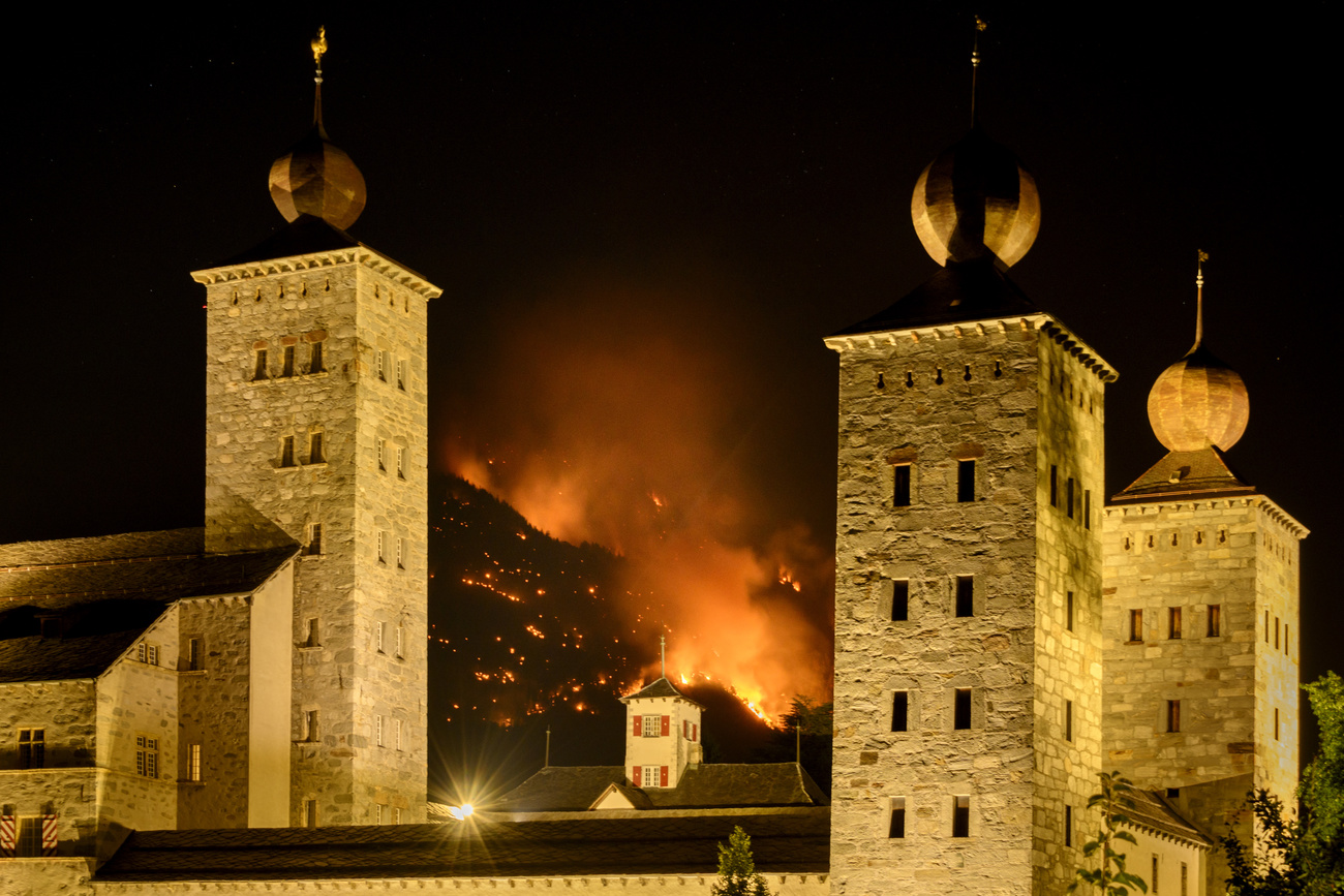 Grosser Waldbrand