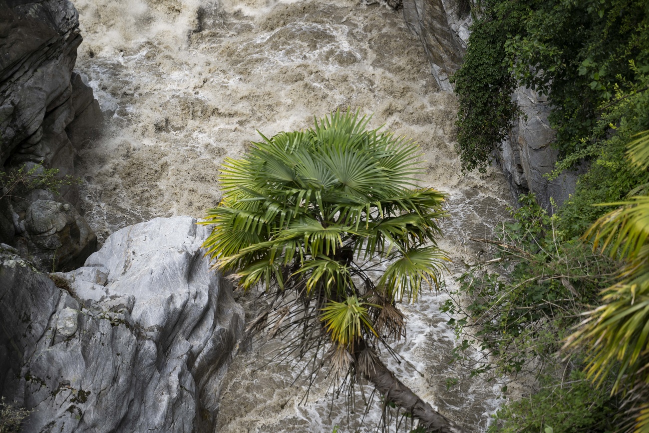 Fiume in piena.